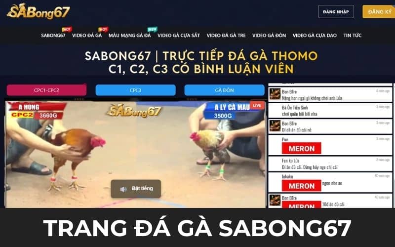 Sabong67 là trang đá gà uy tín mới ra mắt