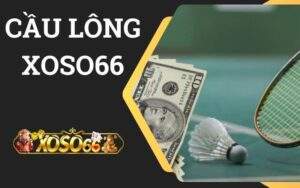 Cầu lông XOSO66