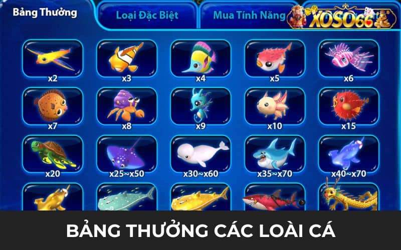 Bảng thưởng có đa dạng vật phẩm và loài cá