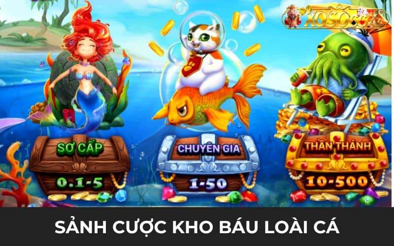 Những sảnh cược trong game kho báu loài cá