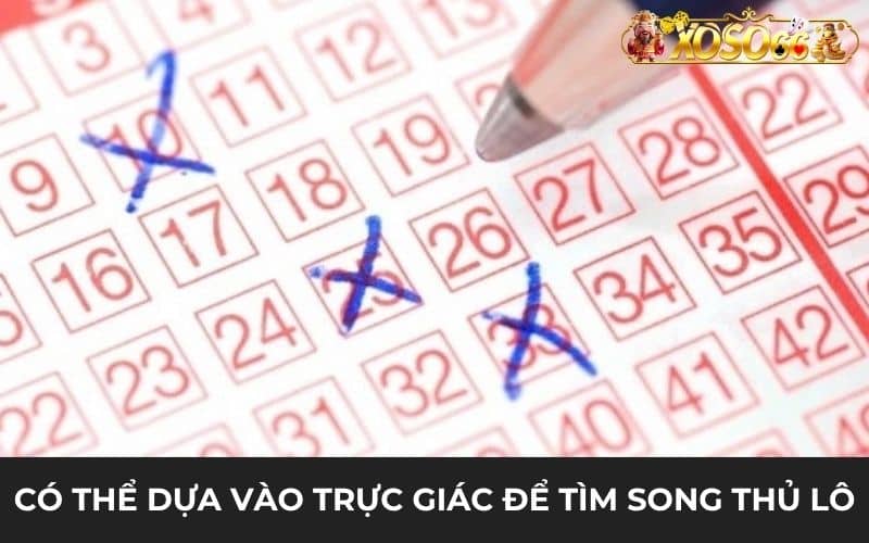 Có thể dựa vào trực giác để đánh song thủ lô