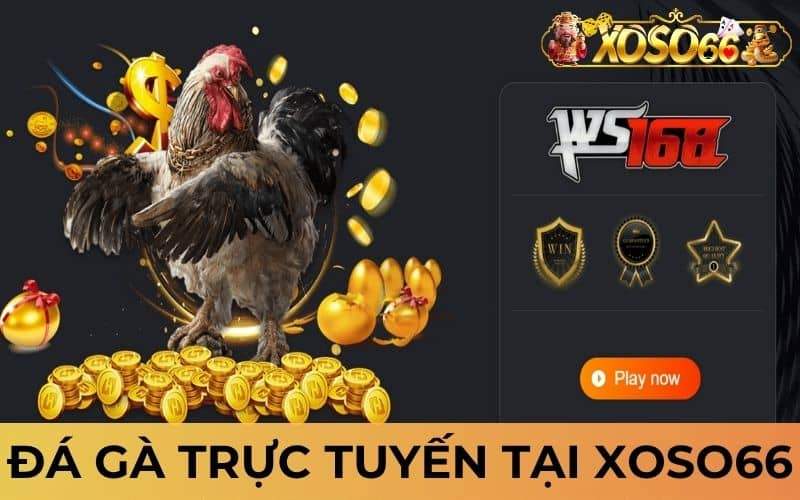 Đá gà trực tuyến tại XOSO66 cho phép người chơi đặt cược
