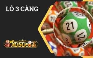 Lô 3 Càng